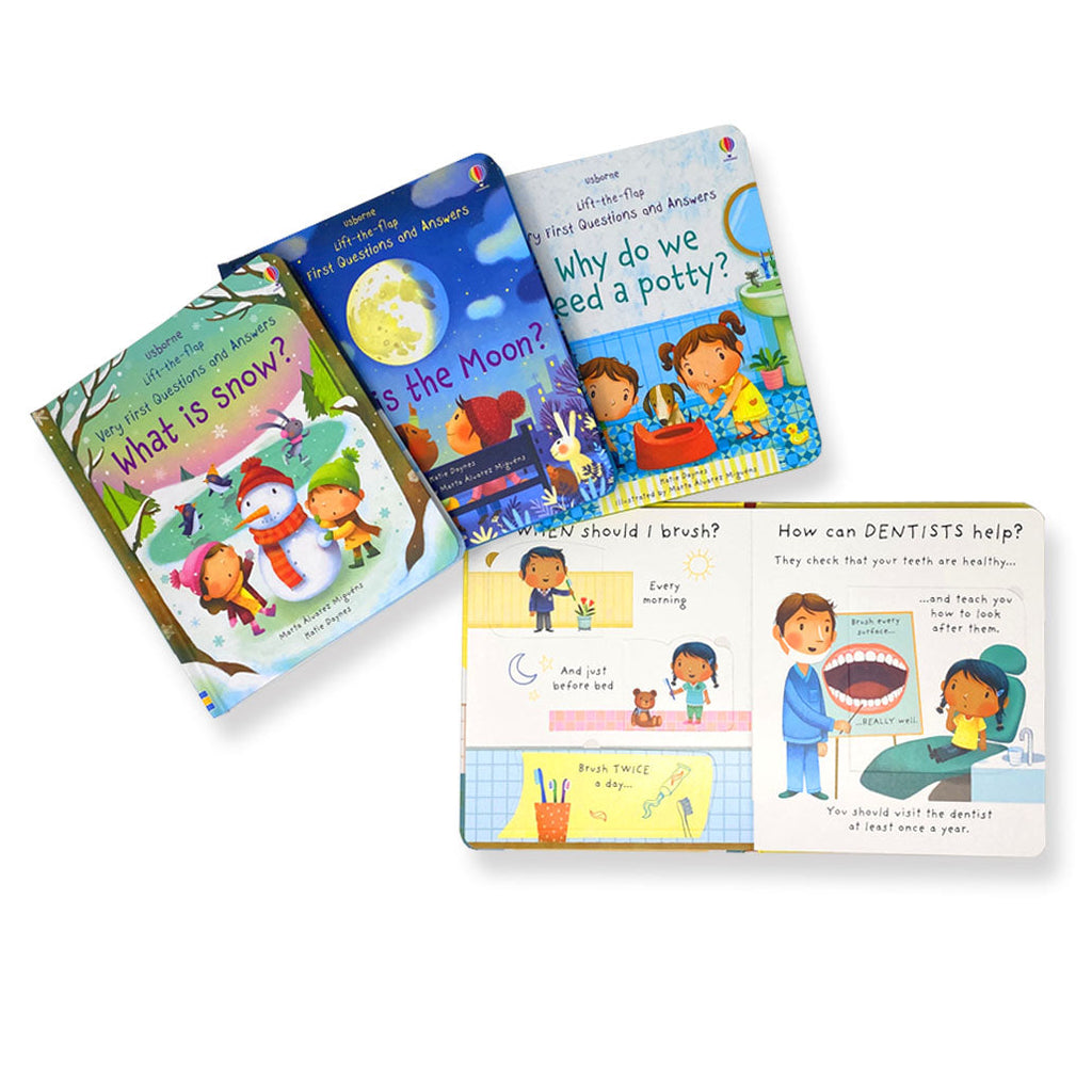 Usborne Lift-the-flap Series My Very First Questions and Answers Colle