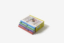 Questioneers Chapter Books Collection by Andrea Beaty
