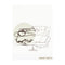 David Smith: Phaidon Focus by Joan Pachner