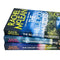 ["9789124295387", "crime thriller", "crime thriller books", "Dorset Crime", "Dorset Crime books", "Dorset Crime Series", "murder", "murder books", "murder mystery", "murder mystery series", "Rachel McLean", "Rachel McLean books", "Rachel McLean collection", "Rachel McLean series", "Rachel McLean set", "The Blue Pool Murders", "The Ghost Village Murders", "The Lighthouse Murders", "thriller", "thriller books", "thrillers", "thrillers books"]