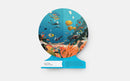 Our Underwater World: A First Dive into Oceans, Lakes, and Rivers (Our World Collection) by Sue Lowell Gallion