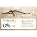 Dinosaurs and Other Prehistoric Life (DK Children's Anthologies)