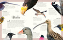 An Anthology of Exquisite Birds: Discover the Beauty of the Avian World (DK Children's Anthologies)