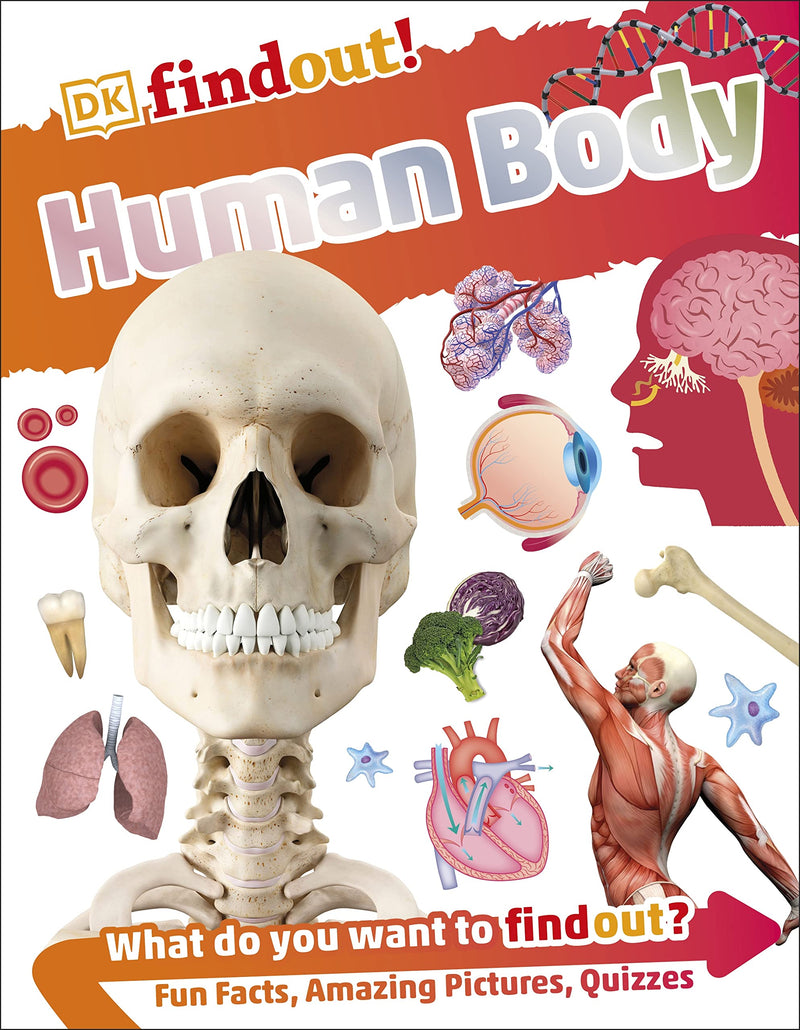 ["9780241285077", "Bestselling Children Book", "bestselling children books", "body & health", "Book for Childrens", "books for children", "books for childrens", "Children Book", "children books", "Children Books on Anatomy & Physiology", "Children Books on Visiting the Doctor", "children educational books", "Children's Books on Biology", "Children's Books on Visiting the Doctor", "Childrens Book", "childrens books", "Childrens Books (7-11)", "Childrens Books on Anatomy & Physiology", "Childrens Educational", "DK Find Out", "DK Find Out Human Body", "DK Find Out Series", "DK FINDOUT", "DKfindout", "DKfindout Human Body", "Find Out Human Body", "Personal & social issues"]