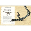 Dinosaurs and Other Prehistoric Life (DK Children's Anthologies)