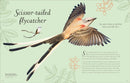 An Anthology of Exquisite Birds: Discover the Beauty of the Avian World (DK Children's Anthologies)