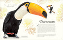 An Anthology of Exquisite Birds: Discover the Beauty of the Avian World (DK Children's Anthologies)