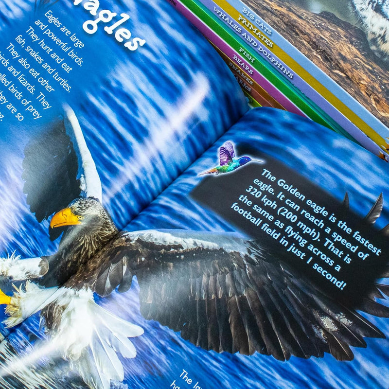 ["9781836670131", "animal books", "Animals", "animals books", "Bears", "Big Cats", "Birds", "children animal books", "children educational books", "childrens books", "Childrens Books (7-11)", "Childrens Educational", "childrens nature books", "Crocodile and Alligators", "educational book", "educational books", "educational resources", "Fish", "fox eye", "fox eye publishing", "introduction to", "introduction to series", "jasmine brooke", "jasmine brooke books", "jasmine brooke collection", "jasmine brooke set", "Nature", "nature education", "non fiction for children", "Penguins", "Primates", "Sharks", "Snakes", "Whales and Dolphins"]