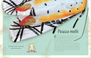 An Anthology of Remarkable Bugs: Discover the Hidden Wonders of the Insect World (DK Children's Anthologies)