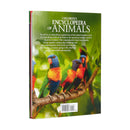 Children's Encyclopedia of Animals by Michael Leach | Visual Guide to the Animal Kingdom | Wildlife & Nature Reference Book for Kids