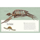 Dinosaurs and Other Prehistoric Life (DK Children's Anthologies)