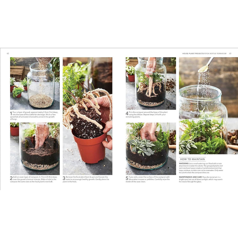 ["9780241634165", "Advice for house plant", "bromeliads", "Cacti and Succulents", "carnivorous plants", "dk", "dk books", "Garden", "garden design", "garden design books", "garden planning", "garden planning books", "Garden Plants", "Gardening", "gardening book", "gardening books", "Gardens", "Gardens in Britain", "Grow", "Herb Gardening", "Home and Garden", "home garden books", "home gardening books", "house plant gardening", "House Plant Gardening book", "House Plants", "How to Garden", "indoor garden", "indoor gardening", "Indoor Gardening book", "Landscape Gardening", "orchids", "organic gardening", "Practical Advice for All House Plants", "rhs gardening book", "RHS House Plant", "RHS House Plant: Practical Advice for All House Plants", "the secret garden"]