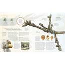 The Tree Book: The Stories, Science, and History of Trees by DK