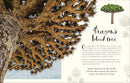The Wonders of Nature: Discover the Incredible Stories of the Natural World (DK Children's Anthologies)