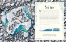 An Anthology of Our Extraordinary Earth: Discover the Awe-Inspiring Wonders of Planet Earth (DK Children's Anthologies)