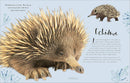 The Wonders of Nature: Discover the Incredible Stories of the Natural World (DK Children's Anthologies)