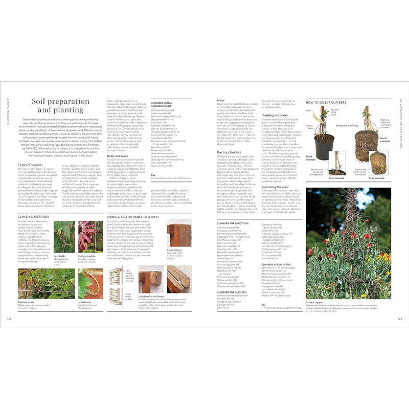 ["9780241545782", "Botany & Plant Sciences References", "dk books", "Encyclopaedias Books", "Encyclopedia of Gardening", "Garden", "garden design", "garden planning", "garden planning books", "Garden Plants", "gardeners guide", "Gardening", "gardening book", "gardening books", "Gardening guide", "Gardens", "Gardens in Britain", "guide to planting", "Herb Gardening", "Home and Garden", "home garden books", "home gardening books", "house plant gardening", "House Plant Gardening book", "indoor gardening", "Indoor Gardening book", "Landscape Gardening", "organic gardening", "plant growing techniques", "Reference works", "RHS Encyclopedia of Gardening", "RHS Encyclopedia of Gardening New Edition By DK", "RHS Gardening book", "the secret garden"]