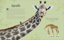 An Anthology of Intriguing Animals: Discover the Fascinating Truths of the Animal Kingdom (DK Children's Anthologies)