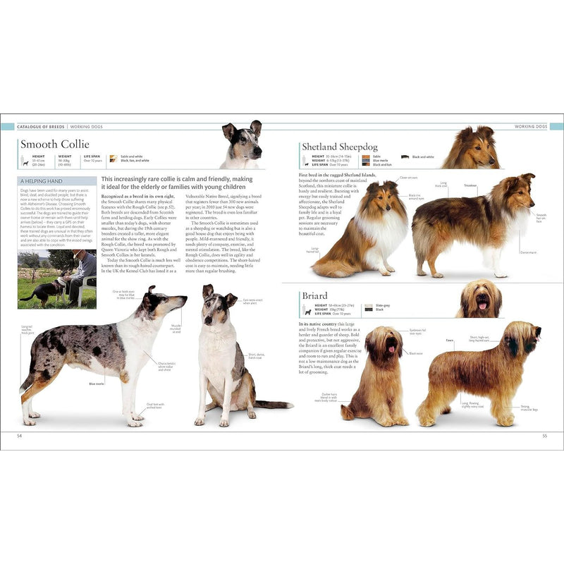 ["9780241600894", "Agriculture & Farming", "books for dog care", "dk", "dk books", "dk dog book", "DK Pet Encyclopedias", "dog", "dog care", "Dog Encyclopedia", "dog training book", "dog training guide", "Dog-Keeping", "Dogs & Wolves", "Dogs as pets", "guide for dog", "Reference works", "The Dog Encyclopedia: The Definitive Visual Guide (DK Pet Encyclopedias)"]