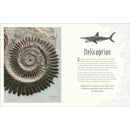 Dinosaurs and Other Prehistoric Life (DK Children's Anthologies)