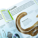 Dk Childrens Encyclopedia - The Book That Explains Everything