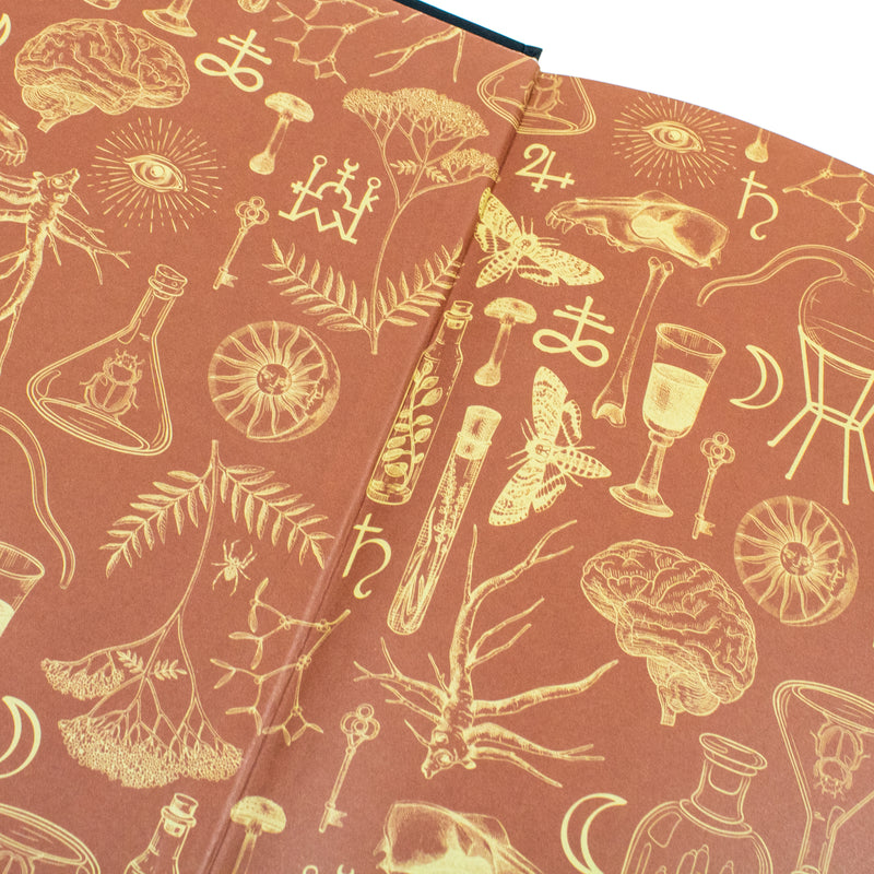 ["9780241714331", "alchemised", "alchemised book", "alchemised collection", "alchemised series", "alchemised set", "epic fantasy", "fanfic", "fanfiction", "Fantasy", "Fantasy & magical realism", "fantasy adventure", "Fantasy Anthologies", "Fantasy book", "fantasy books", "fantasy fiction", "fantasy romance", "Gaslamp Fantasy", "gothic fantasy", "Gothic Romance", "Harry Potter", "harry potter books", "harry potter collection", "harry potter fanfiction", "Romantic Action & Adventure", "senlinyu", "senlinyu author", "senlinyu authors books", "senlinyu books", "senlinyu collection", "senlinyu set"]