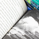 Hannah Gold Collection 5 Books Set (The Lone Husky [Hardback], The Last Bear, The Lost Whale, Finding Bear and Turtle Moon)