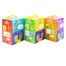 A Case of Numberblocks, Alphablocks and Colourblocks 36 Mini Books Collection Set (A Case of Numberblocks, A Case of Alphablocks and A Case of Colourblocks)