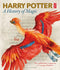 Harry Potter A History Of Magic - The Book Of The Exhibition