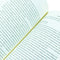 ["9781785042140", "best business books", "best seller", "best selling", "Best Selling Books", "bestseller in books", "bestselling authors", "Brave Work", "brene brown", "brene brown book", "brene brown dare to lead", "business", "Business Book", "Business books", "business life", "business life books", "Business Management", "business strategy", "dare to lead", "dare to lead brene brown", "dr brene brown", "emotions", "leaders", "organisations", "Paperback", "Tough Conversations", "Whole Hearts"]