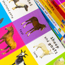 Priddy First 100 Library Collection 7 Books Box Set (First Farm Words, First 100 Animals, Numbers, Colours, Shapes, First 100 Numbers and More)