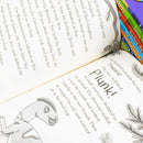Dinosaur Club Series by Rex Stone 10 Books Collection Set (March of the Ankylosaurus, The T-Rex Attack, A Triceratops Charge, Avoiding the Allosaurus and 6 more)