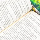 Robin Hood 4 Book Collection Set by Robert Muchamore – Action Adventure Series for Young Readers