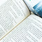 ["9781035066216", "adult fiction", "Adult Fiction (Top Authors)", "adult fiction book collection", "adult fiction books", "adult fiction collection", "Eye of the Needle", "Historical", "Historical Books", "historical fantasy", "historical fiction", "historical fiction books", "historical thrillers", "Ken Follett", "Ken Follett books", "Ken Follett collection", "Ken Follett series", "Ken Follett set", "second world war", "The Key to Rebecca", "Triple", "war", "war fiction", "war story fiction", "world war two"]