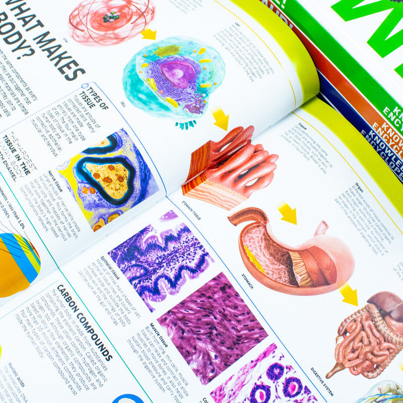 ["9789124310547", "Amazing animal", "animal kingdom", "Animal Sciences References", "as Youve Never Seen it Before", "biology", "body organs diagram", "Books on Nature", "chemistry", "children history books", "childrens books", "Childrens Books (7-11)", "Childrens Educational", "diagram of human body organs front and back", "dinosaur books", "dk science books", "Dorling Kindersley", "Encyclopedia", "encyclopedia animal", "Encyclopedia for children", "encyclopedia human body", "Hardback", "history books", "human body", "human body books", "human body organs", "human body parts", "human body system", "Interest", "jurassic park", "jurassic world", "Knowledge", "knowledge encyclopedia", "Knowledge Encyclopedia Animal", "knowledge encyclopedia books", "knowledge encyclopedia dinosaur", "knowledge encyclopedia human", "knowledge encyclopedia science", "knowledge encyclopedia space", "knowledge human body", "Mesozoic", "NASA images", "Popular science", "Prehistoric Archaeology", "Prehistoric Archaeology books", "preshistoric books", "Reference Books", "Science", "Solar System", "Space", "Technology", "The Animal Kingdom as youve Never Seen it Before", "The Universe", "Wildlife (Children's / Teenage", "young adults"]