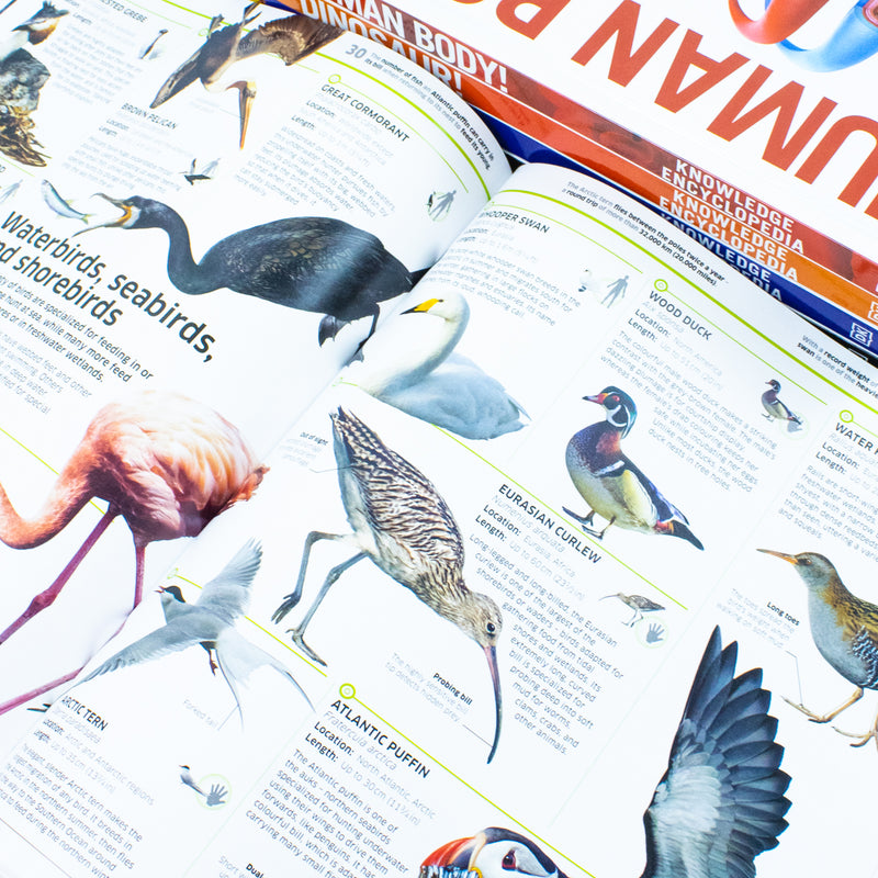 ["9789124310547", "Amazing animal", "animal kingdom", "Animal Sciences References", "as Youve Never Seen it Before", "biology", "body organs diagram", "Books on Nature", "chemistry", "children history books", "childrens books", "Childrens Books (7-11)", "Childrens Educational", "diagram of human body organs front and back", "dinosaur books", "dk science books", "Dorling Kindersley", "Encyclopedia", "encyclopedia animal", "Encyclopedia for children", "encyclopedia human body", "Hardback", "history books", "human body", "human body books", "human body organs", "human body parts", "human body system", "Interest", "jurassic park", "jurassic world", "Knowledge", "knowledge encyclopedia", "Knowledge Encyclopedia Animal", "knowledge encyclopedia books", "knowledge encyclopedia dinosaur", "knowledge encyclopedia human", "knowledge encyclopedia science", "knowledge encyclopedia space", "knowledge human body", "Mesozoic", "NASA images", "Popular science", "Prehistoric Archaeology", "Prehistoric Archaeology books", "preshistoric books", "Reference Books", "Science", "Solar System", "Space", "Technology", "The Animal Kingdom as youve Never Seen it Before", "The Universe", "Wildlife (Children's / Teenage", "young adults"]