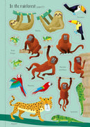 Usborne Animals Activity Pack 3 Books Box Set | Sticker Book with 200+ Stickers, Colouring Book & Spotting Activity Book for Kids