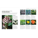 RHS How to Garden When You're New to Gardening: The Basics for Absolute Beginners