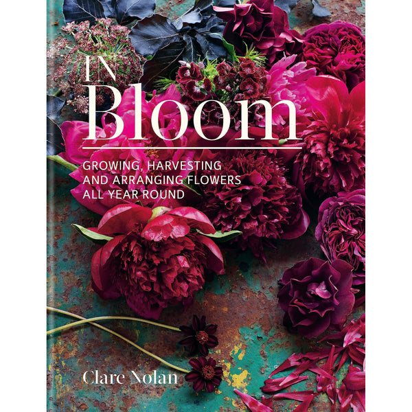 In Bloom: Growing, harvesting and arranging flowers all year round by Clare Nolan
