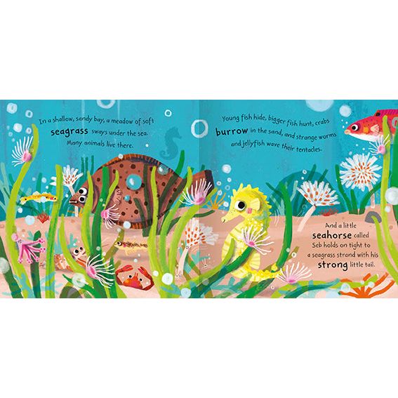 ["9781789896084", "animal friends storybook set", "aquatic animal books for toddlers", "baby animal stories", "baby shark storybook", "children's nature and wildlife books", "children's ocean books", "children's picture book set", "colorful animal books for preschoolers", "early learning ocean books", "educational sea life books", "first ocean books for kids", "fun learning ocean books", "gift books for toddlers", "kids sea story collection", "learn about ocean animals", "marine animal books for toddlers", "marine life books for kids", "nat the narwhal book", "nature themed kids books", "ocean adventure books for kids", "ocean animal adventures", "ocean bedtime stories", "ocean friends storytime", "ocean learning books", "ocean story collection for kids", "ocean storybooks for toddlers", "ocean themed children's books", "ocean themed read alouds", "olive the octopus book", "picture book set for toddlers", "pippi the penguin story", "preschool ocean books", "scout the shark kids book", "sea animal stories for preschoolers", "sea creature adventures", "sea creature books for toddlers", "sea life picture books", "sea storybook gift set", "seb the seahorse story", "tia the turtle storybook", "toddler bedtime stories ocean theme", "toddler ocean gift set", "toddler storybooks", "under the sea children's books", "underwater animal stories"]