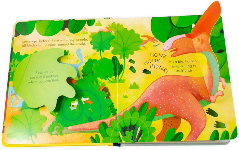 Peep Inside 6 Books Collection Box Set by Usborne | Lift-the-Flap Boar