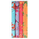 The Deluxe Hunger Games Collection 4 Book Set | Patterned-Edge Editions of the Global Bestseller by Suzanne Collins