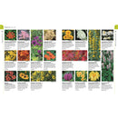 RHS What Plant Where Encyclopedia by The Royal Horticultural Society 9781409382973
