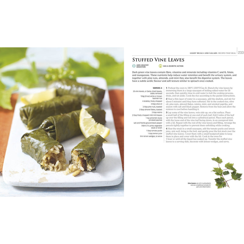 ["9781409324645", "cl0-CERB", "Dorling Kindersley", "Eat Your Way to a Healthier Life", "functional foods", "Hardback", "Healing Foods", "Health and Fitness", "healthly living", "Neals Yard", "Neals Yard Remedies", "Neals Yard Remedies Healing Foods", "Remedies Healing Foods"]