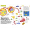 ["9780241283080", "chemistry", "chemistry books", "chemistry education", "Childrens", "Childrens Educational", "cl0-CERB", "Dorling Kindersley", "experiments", "General", "Hardback", "How to Be a Scientist", "industry", "Interest", "Projects", "Science", "Science Experiments", "Scientific knowledge", "scientist", "Steve Mould", "technology", "young adults"]