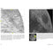 ["9780008305000", "astronomers", "astrophotography", "best selling single books", "blue moons", "collins", "collins astronomy", "collins book collection", "collins book collection set", "collins books", "collins collection", "collins series", "eclipses", "lunar observation", "moon maps", "moongazing", "moongazing by tom kerss", "moongazing paperback", "moongazing tom kerss", "royal observatory greenwich", "seasoned stargazers", "star gazing", "supermoons", "telescopes", "tom kerss", "tom kerss book collection", "tom kerss book collection set", "tom kerss books", "tom kerss collection", "tom kerss moongazing", "tom kerss series", "world book day ideas"]