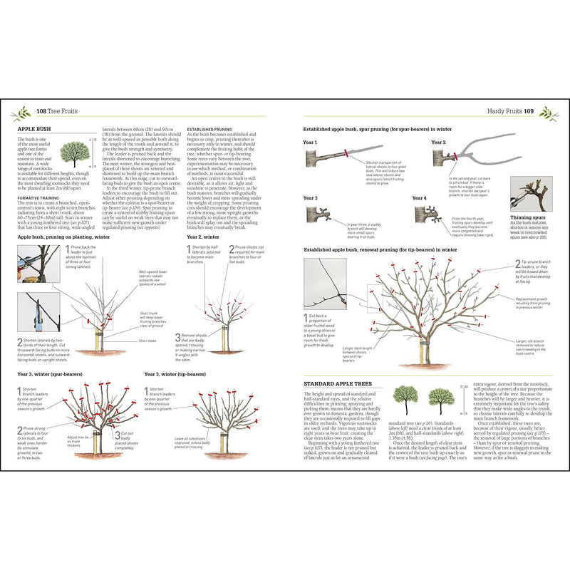 ["9780241282908", "christopher brickell", "christopher brickell books", "christopher brickell gardening books", "christopher brickell gardening set", "cl0-CERB", "garden design books", "garden planning books", "gardening books", "herb and shrub gardening", "Home and Garden", "planting books", "rhs books", "rhs collection", "rhs garden books", "rhs gardening books", "rhs pruning and training", "royal horticultural society books", "tree gardening books"]