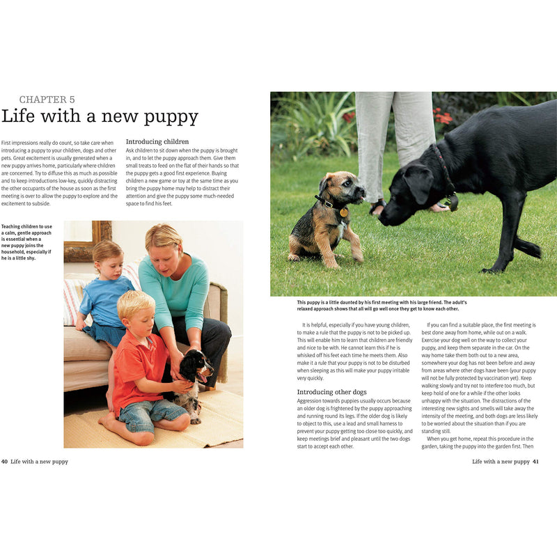 The Perfect Puppy: Take Britain's Number One Puppy Care Book With You! by Gwen Bailey