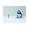 ["9781529102673", "9781785038259", "amazon best books", "amazon latest books", "amazon new books", "best encyclopedia", "best encyclopedia book", "books about amazon", "books from amazon", "books gift", "chakras", "CLR", "crystal bible book collection set", "crystal bible books", "crystal book", "crystal encyclopedia", "crystal healing book", "crystal healing judy hall", "crystal kingdom book", "crystal meditation techniques", "crystal tarot", "crystalized books", "emma lucy knowles", "emma lucy knowles book collection", "emma lucy knowles book collection set", "emma lucy knowles books", "emma lucy knowles collection", "emma lucy knowles series", "emma lucy knowles the power of crystal healing", "encyclopedia amazon", "encyclopedia book price", "encyclopedia books", "encyclopedia price", "fortune teller", "fortune telling", "healing powers", "judy hall books", "judy hall crystal books", "judy hall crystals", "judy hall encyclopedia of crystals", "latest books", "Massage Reflexology book", "mind body spirit", "new age crystals", "palm reader", "psychology book", "tarot", "tarot books", "tarot card", "tarot cards", "the crystal book", "the encyclopedia of crystals", "the power of crystal healing", "the power of crystal healing by emma lucy knowles", "the power of crystal healing hardcover"]