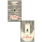 V. E. Schwab The Villains Series 2 Books Collection Set - Vicious and Vengeful